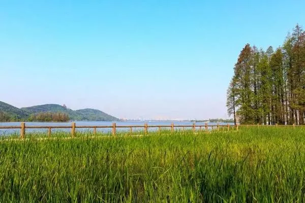 東湖落雁島游玩攻略 交通、門(mén)票、怎么玩等信息都在這了